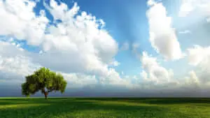 A Heavenly Landscape