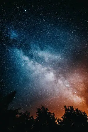 High Resolution Star And Trees
