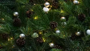Holiday Teams Landscape Silver Rustic Background