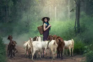 Idyllic Country Summer Landscape
