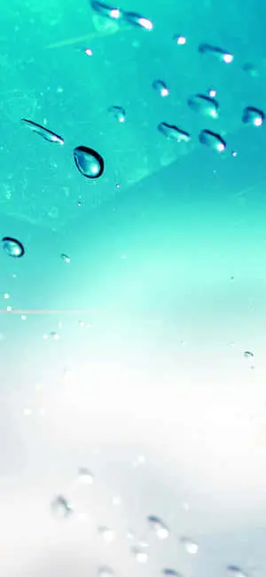 Stunning Nature Scene on iPhone X Wallpaper