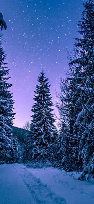 Stunning Lakeside Mountains iPhone X Wallpaper