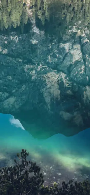 Stunning iPhone X Nature Wallpaper