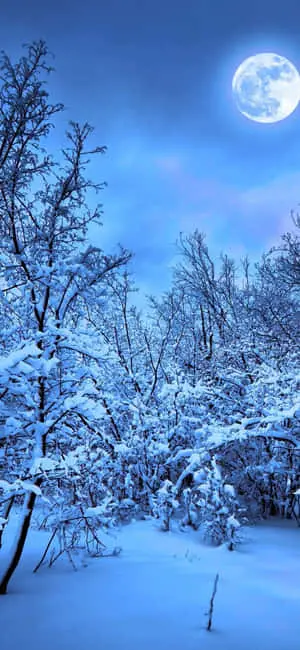 Stunning Mountain Landscape on iPhone X