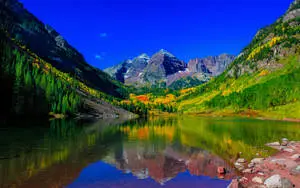 Secluded Reflection