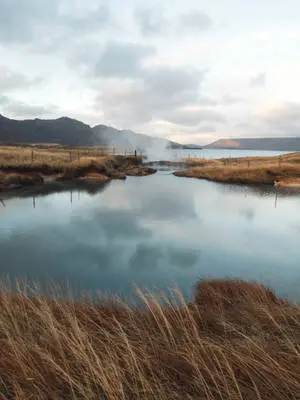 Lake With Wheat Grass