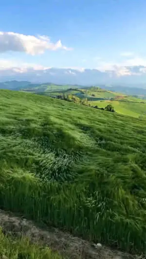 Northern Land Picture