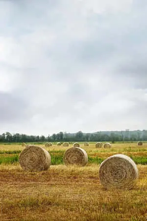  Captivating Land Picture
