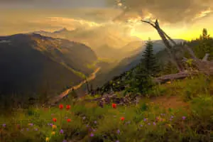 Marvel at the Magnificence of Nature