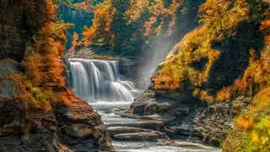 Scenic Beauty of Letchworth State Park, New York 