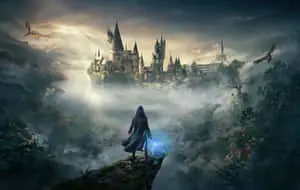 a man is standing on a cliff looking at a castle