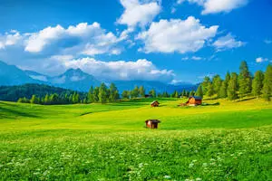 Majestic 4K Landscape View