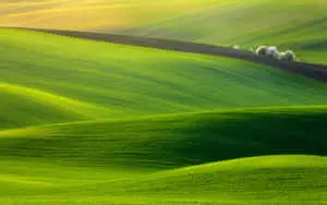 Majestic Green Hills