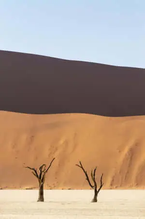 Tranquil Minimalist Landscape