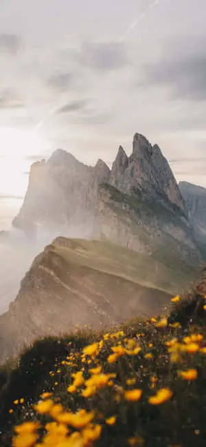 Majestic Mountain Landscape on iPhone