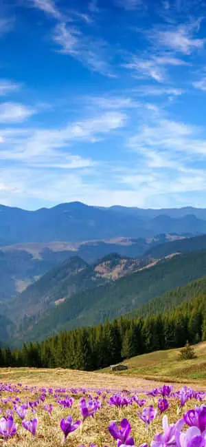  Stunning Mountain Range iPhone Background 