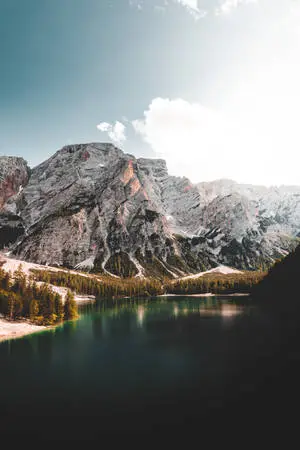 Mountain View, Feel the Magic
