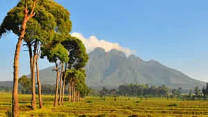 Overwhelming Mountain View Picture