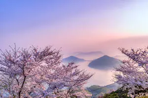 A captivating landscape of rolling hills and lush trees