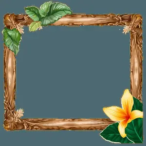 Nature Decorative Frame PNG 40