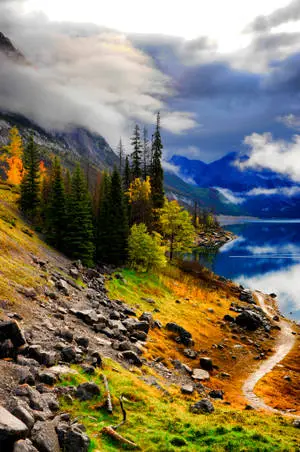 A Voyage Through Nature's Majesty