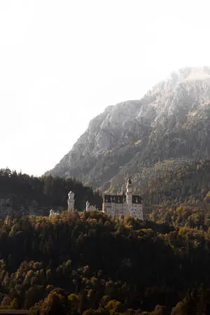 Neuschwanstein Castle Indie Phone