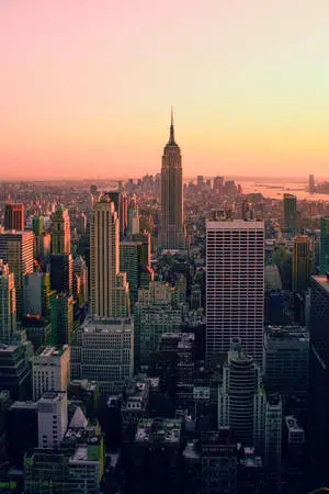 New York Aesthetic Features