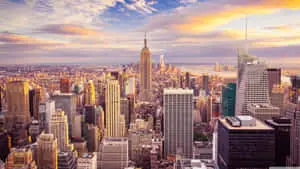 The Urban Jungle of New York City