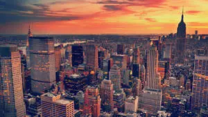 Enjoy The Beauty of New York City