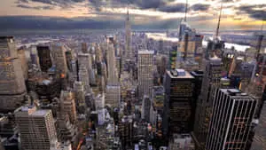 Soak up The Bright Lights of New York City
