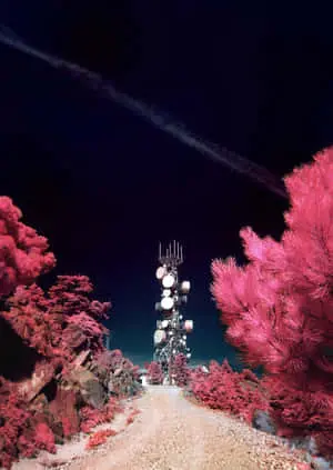 Mysterious Fantasy Landscape