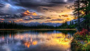 Enjoy Nature's Beauty 