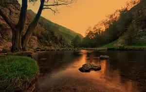The Majestic Beauty of Nature
