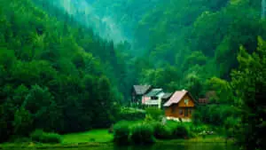 A Refreshing Summer Scene