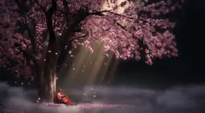 Restless Girl Under A Sakura Tree