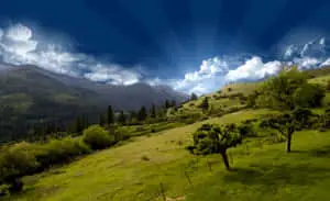 Hilltop Mountain Safari Background
