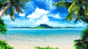 Enjoying the beauty of nature