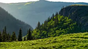 Enjoy the beauty of nature's serene landscape