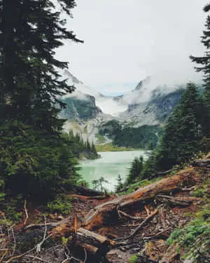 Serene Natural Landscape