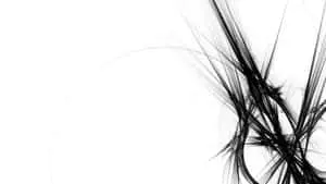 Minimalistic Abstract Black and White Landscape