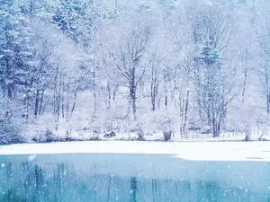 Soft, white winter wonderland