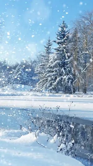 Witness the breathtaking beauty of winter