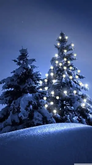 Enjoy The Beauty Of The Snow-blanketed Countryside On Your Iphone 