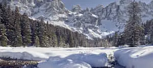 A wintery paradise of snow