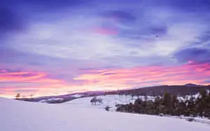 Majestic Snowy Landscape