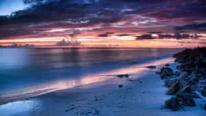Soothing Nature Background
