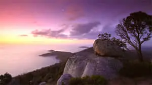 Serene Nature Landscape