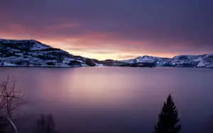 Tranquil Nature Scenery