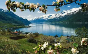 Scenic Spring Mountain Landscape