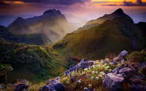 Tranquil Spring Mountain Landscape Scene